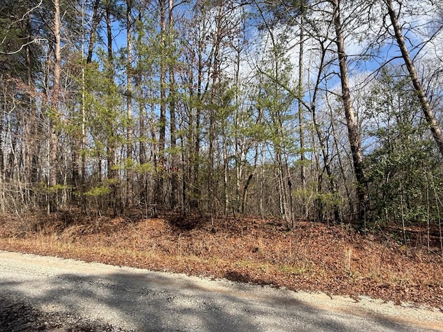 LOT8 Hummingbird Ln, Ellijay GA, 30540 land for sale