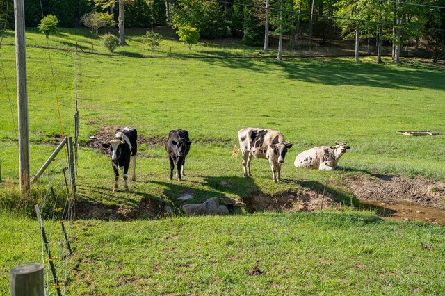 564 Wright Rd, Murphy, NC 28906
