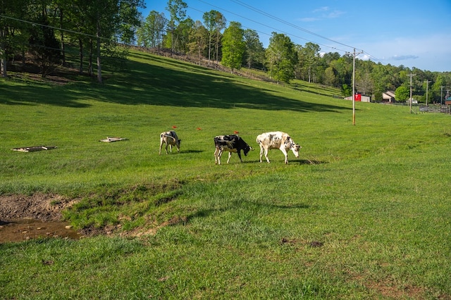 564 Wright Rd, Murphy, NC 28906