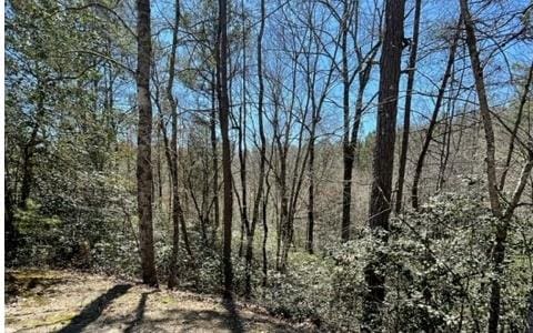 Listing photo 2 for Lot6 Willow Ridge, Warne NC 28909