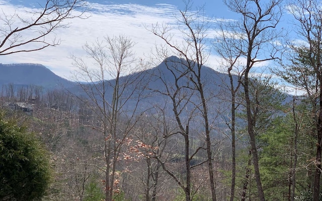 LOT42 Dan Knob, Hayesville NC, 28904 land for sale