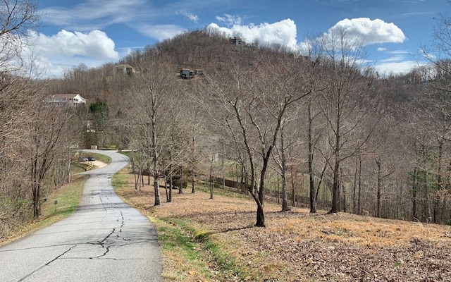 Listing photo 2 for LOT42 Dan Knob, Hayesville NC 28904