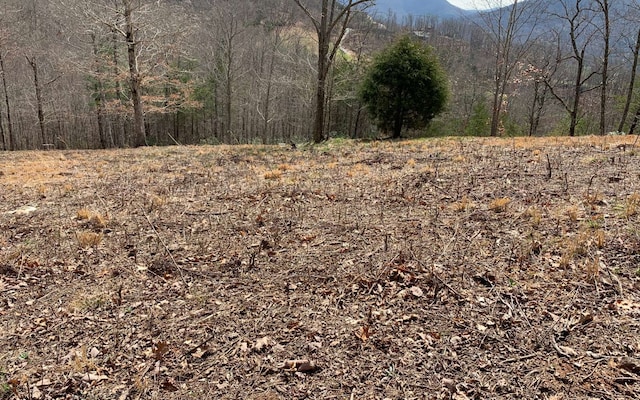 Listing photo 3 for LOT42 Dan Knob, Hayesville NC 28904