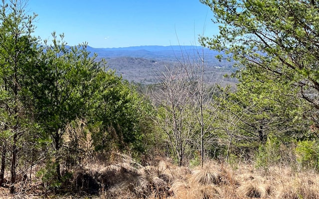 00 Patriot Rdg, Murphy NC, 28906 land for sale