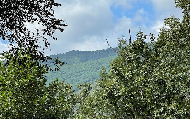 LT73 Fires Creek Cv, Hayesville, NC 28904