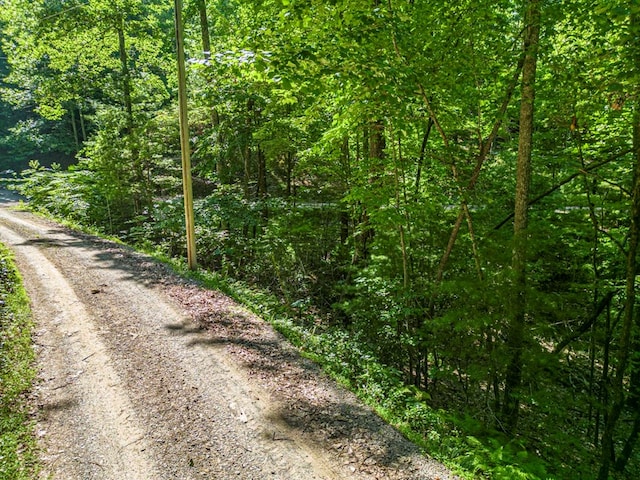 view of dirt / gravel road with a view of trees