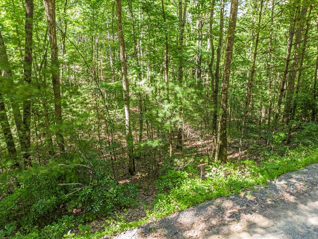 view of wooded area