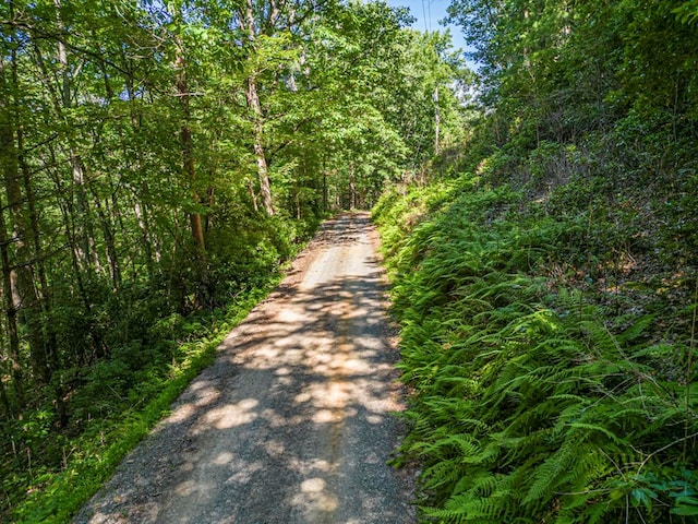 view of dirt / gravel road with a forest view