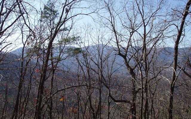 LOT1 Caesar Gap Rd, Hiawassee GA, 30546 land for sale