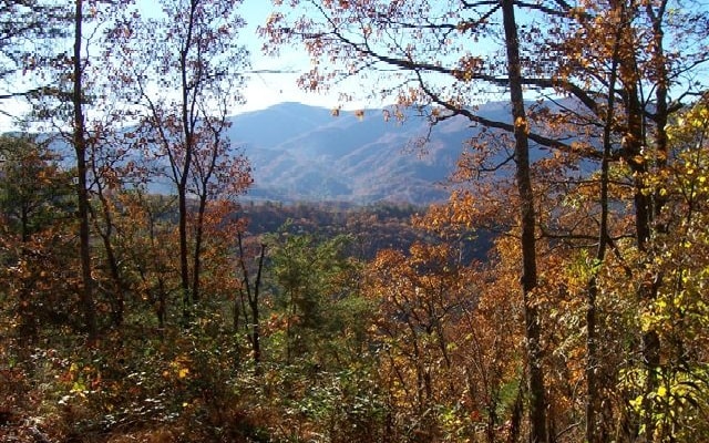 Listing photo 2 for LOT1 Caesar Gap Rd, Hiawassee GA 30546