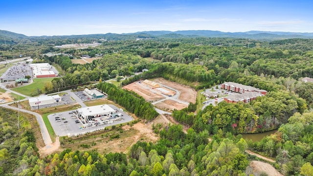 bird's eye view featuring a mountain view