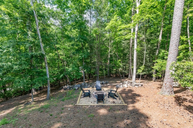 view of yard with a wooded view