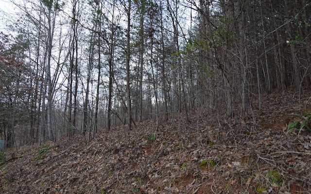 Listing photo 2 for LOT4 Brer Fox Rdg, Hiawassee GA 30546