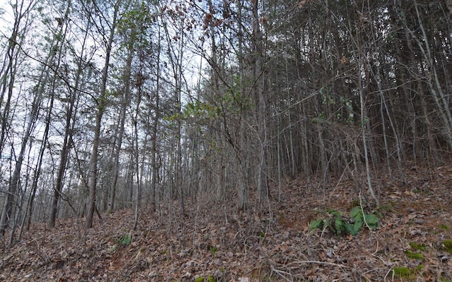 Listing photo 3 for LOT4 Brer Fox Rdg, Hiawassee GA 30546