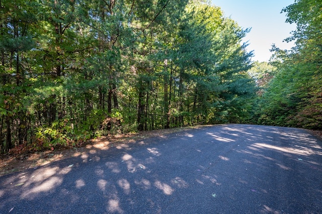 Listing photo 2 for LOT18 Dover Highlands Trl, Ellijay GA 30540