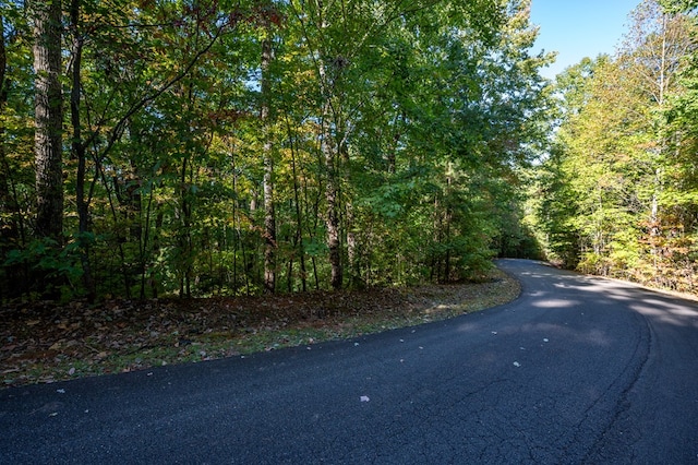 Listing photo 3 for LOT18 Dover Highlands Trl, Ellijay GA 30540