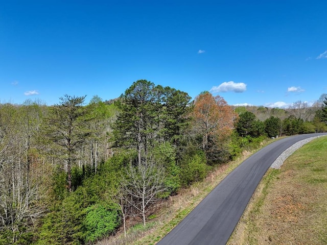 LOT44 Owen Vis, Blairsville GA, 30512 land for sale