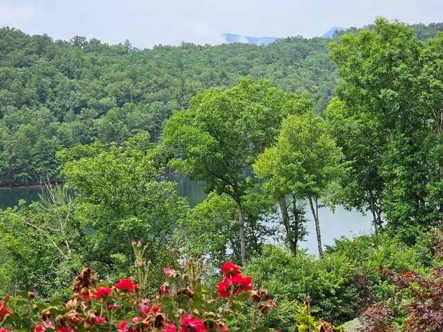 Listing photo 3 for LOT12 Wilderness Lake Cir, Murphy NC 28906