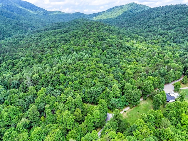 Listing photo 3 for 00 Pine Log Church Rd, Brasstown NC 28902