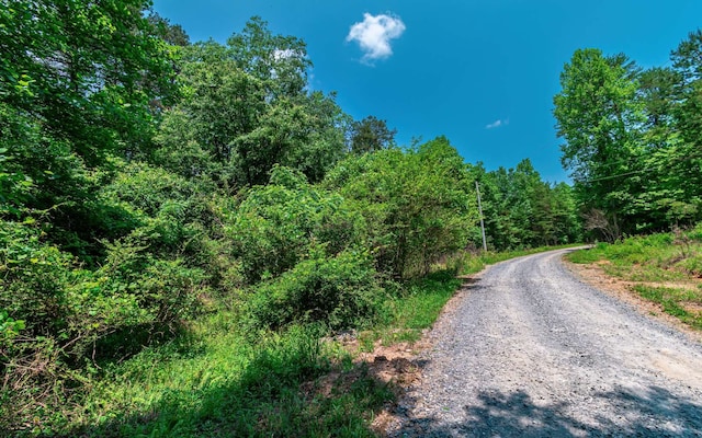 3.35 Pine Ln, Mineral Bluff GA, 30559 land for sale