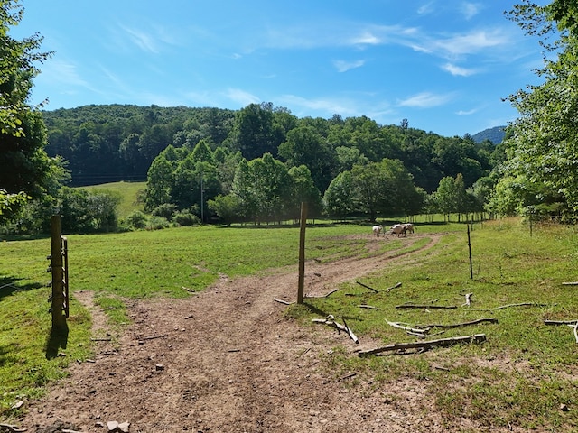 Listing photo 3 for 13.4AC Mount Pleasant Church Rd, Blairsville GA 30512