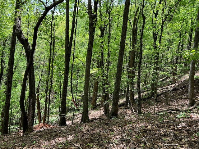 0 Valley View Dr, Big Canoe, GA 30143
