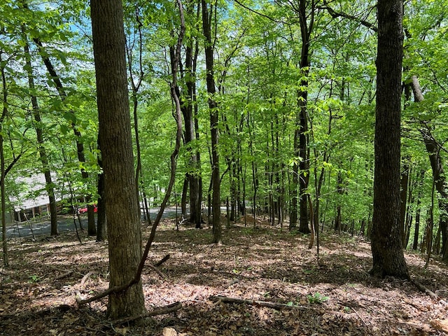 0 Valley View Dr, Big Canoe, GA 30143