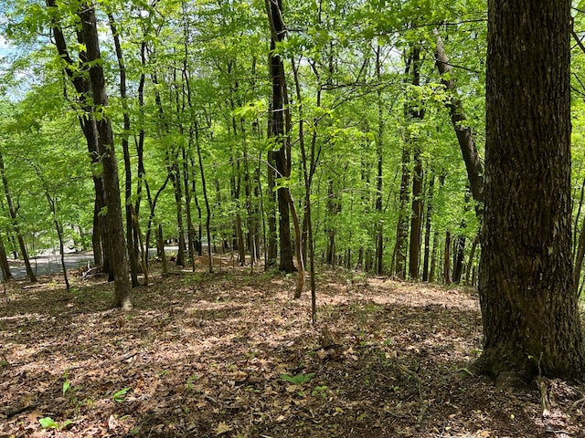 0 Valley View Dr, Big Canoe, GA 30143