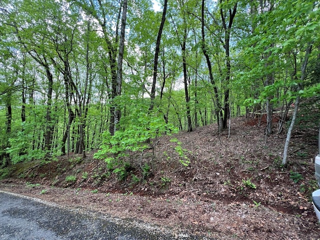 0 Valley View Dr, Big Canoe, GA 30143