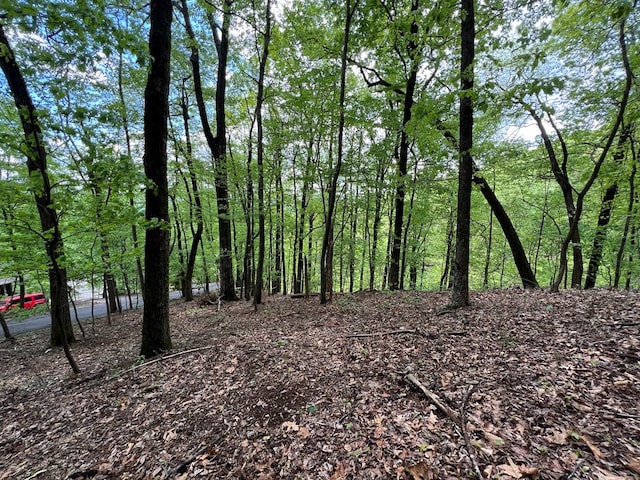0 Valley View Dr, Big Canoe, GA 30143