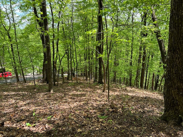 0 Valley View Dr, Big Canoe, GA 30143