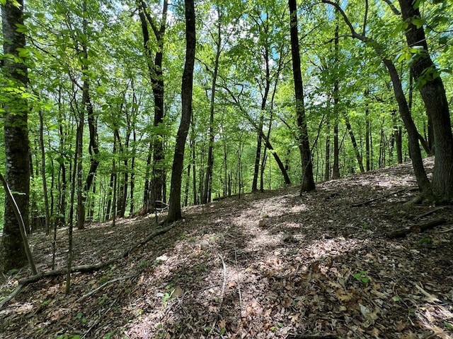 0 Valley View Dr, Big Canoe, GA 30143