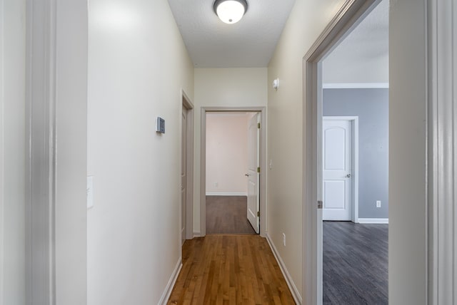 corridor featuring ornamental molding, dark hardwood / wood-style flooring, and a textured ceiling