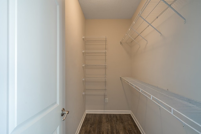 walk in closet with dark hardwood / wood-style flooring