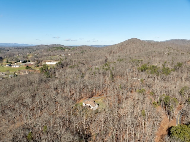 birds eye view of property featuring a mountain view