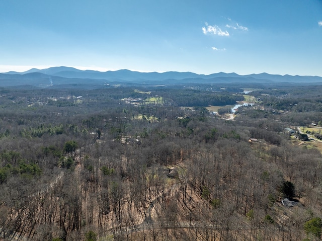 property view of mountains