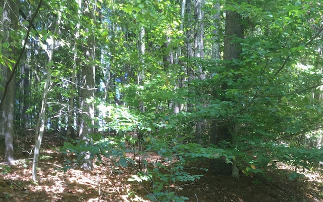 Listing photo 3 for LOT1 Red Oak Rdg, Hayesville NC 28904