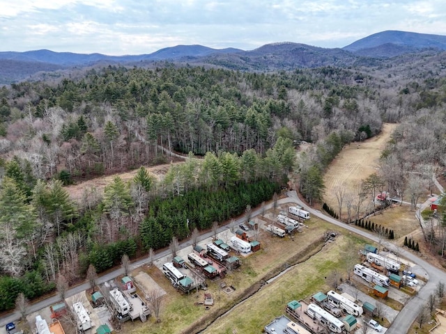 birds eye view of property featuring a mountain view