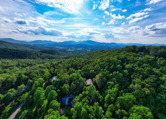 birds eye view of property with a mountain view and a view of trees