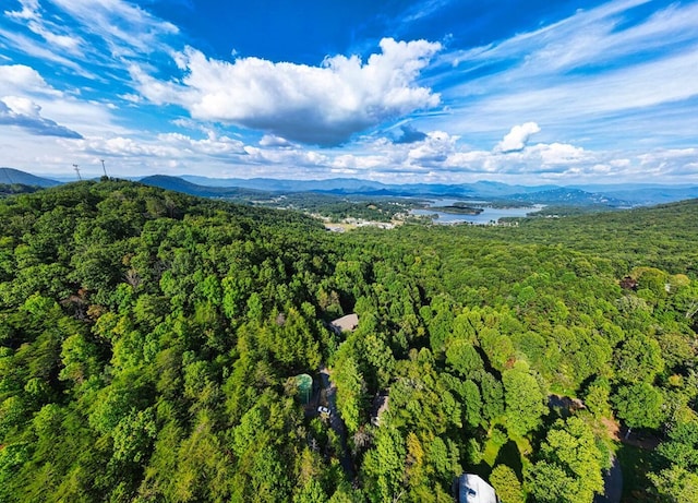 birds eye view of property with a forest view and a water and mountain view