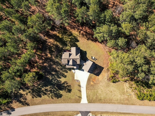 drone / aerial view