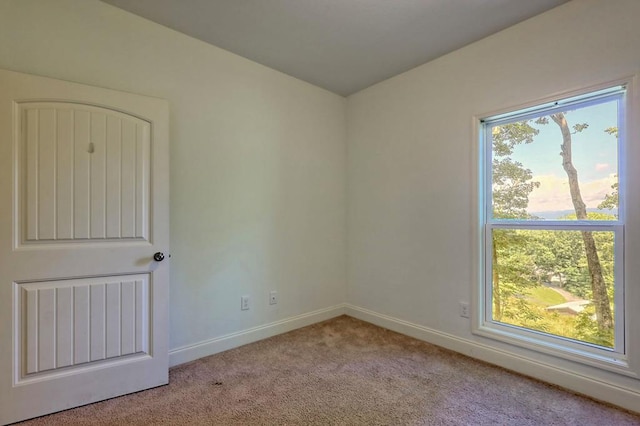 empty room featuring light carpet and a wealth of natural light