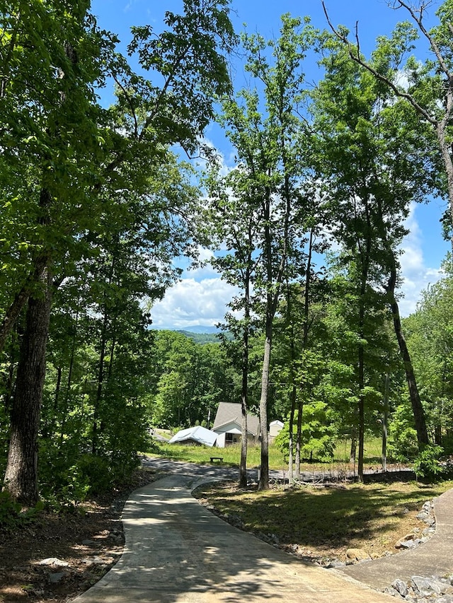 view of road