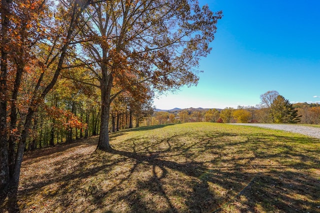 Listing photo 3 for LOT8 Hinton Overlook, Hayesville NC 28904