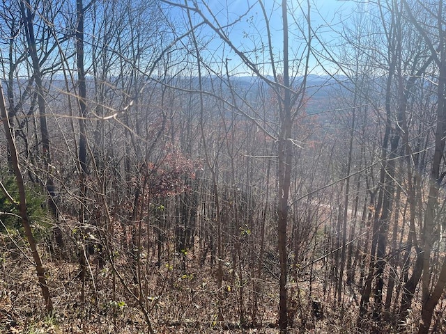 LOT132 Sanctuary Dr, Murphy NC, 28906 land for sale