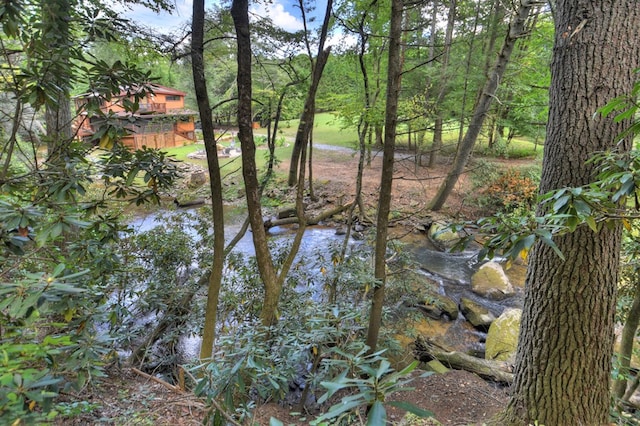 view of water feature