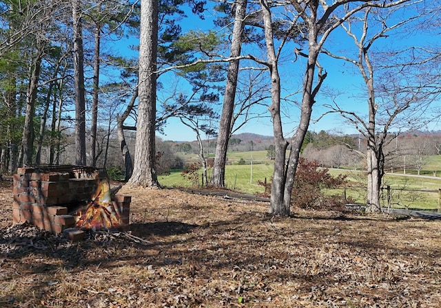 view of yard with a rural view