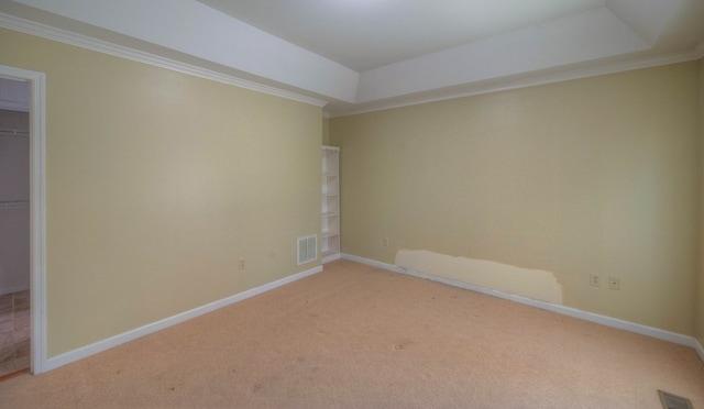 467 Greenlawn Cemetary Rd, Murphy, NC 28906 - empty room with a raised ceiling, light colored carpet, baseboards, and ornamental molding