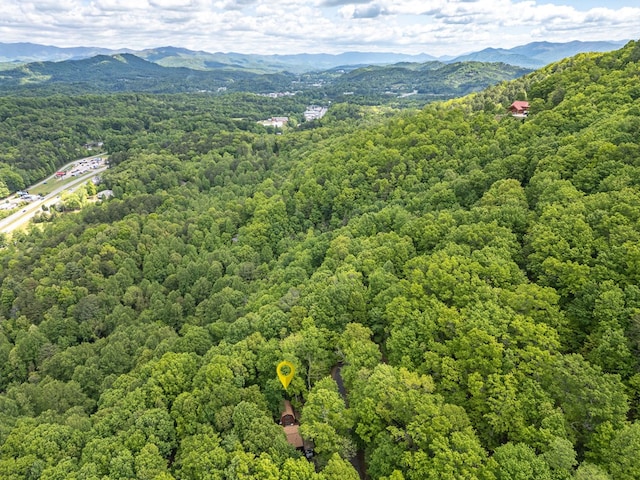 drone / aerial view of a heavily wooded area and a mountainous background