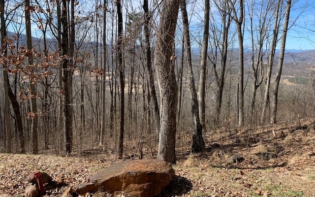 LOT2 Rocky Knob Ests, Young Harris GA, 30582 land for sale